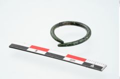 Foto von Bronzering (NHMW-PRAE-026374)